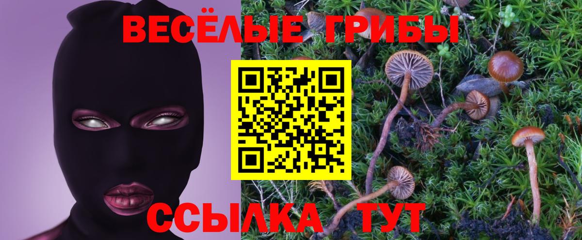 Галлюциногенные грибы прущие грибы  Вход с VPN  Тайшет 