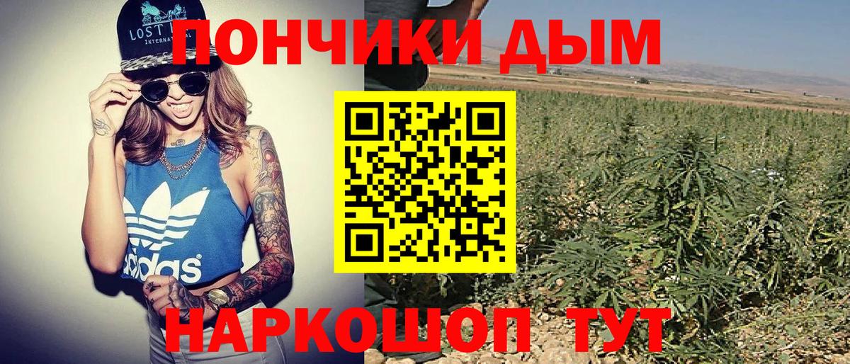 Бошки Шишки тримм  Бошки Шишки гибрид  Тайшет  Канабис Bruce Banner  Вход с VPN 